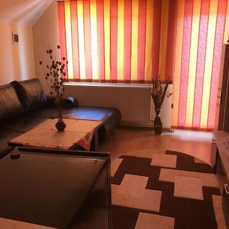 Steluta Villa Călimăneşti Екстериор снимка