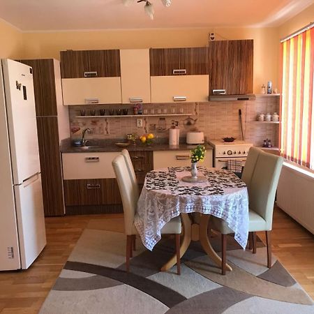 Steluta Villa Călimăneşti Екстериор снимка