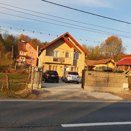 Steluta Villa Călimăneşti Екстериор снимка