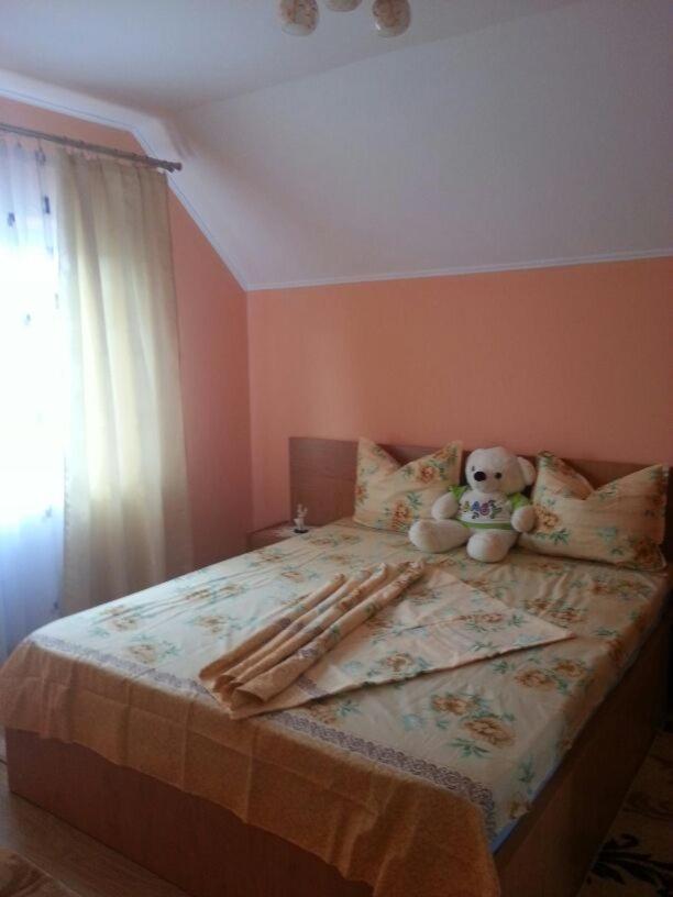Steluta Villa Călimăneşti Екстериор снимка