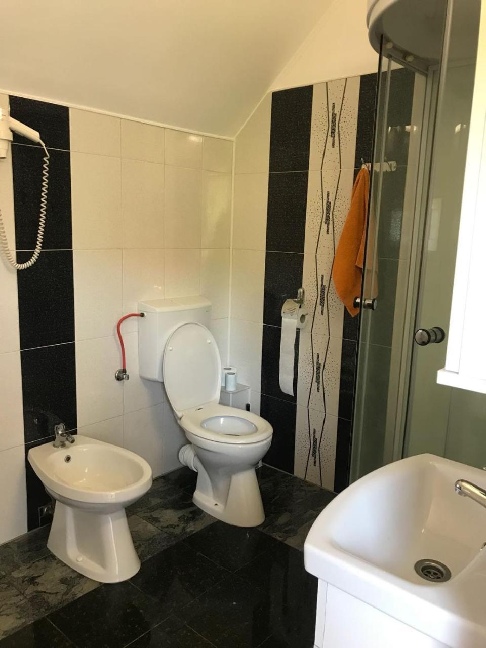 Steluta Villa Călimăneşti Екстериор снимка