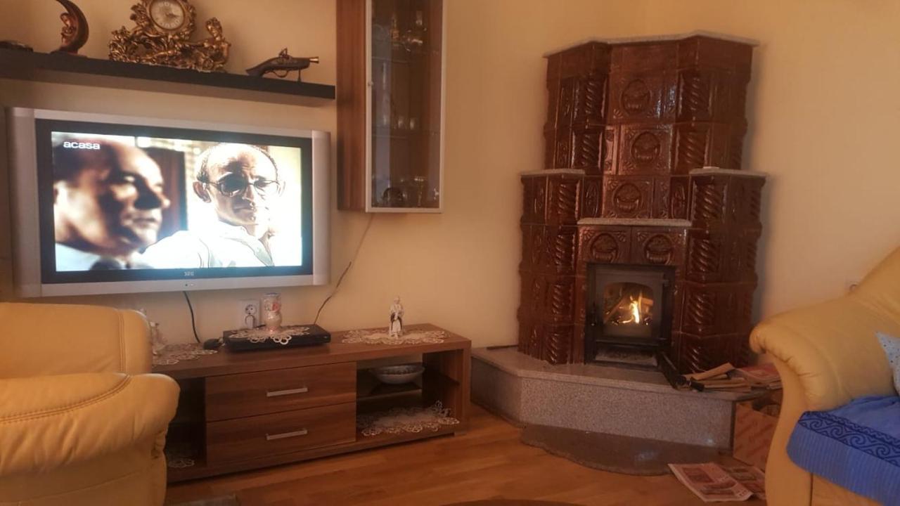 Steluta Villa Călimăneşti Екстериор снимка