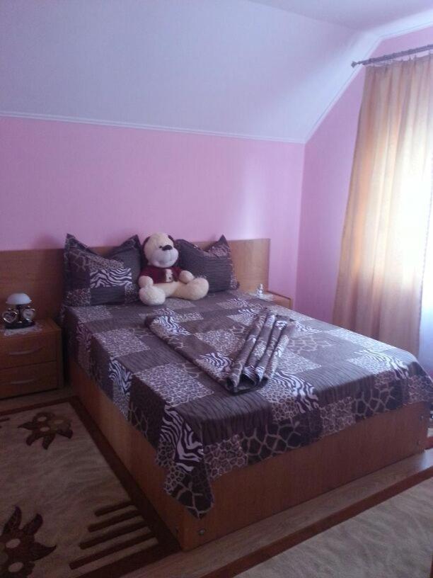Steluta Villa Călimăneşti Екстериор снимка