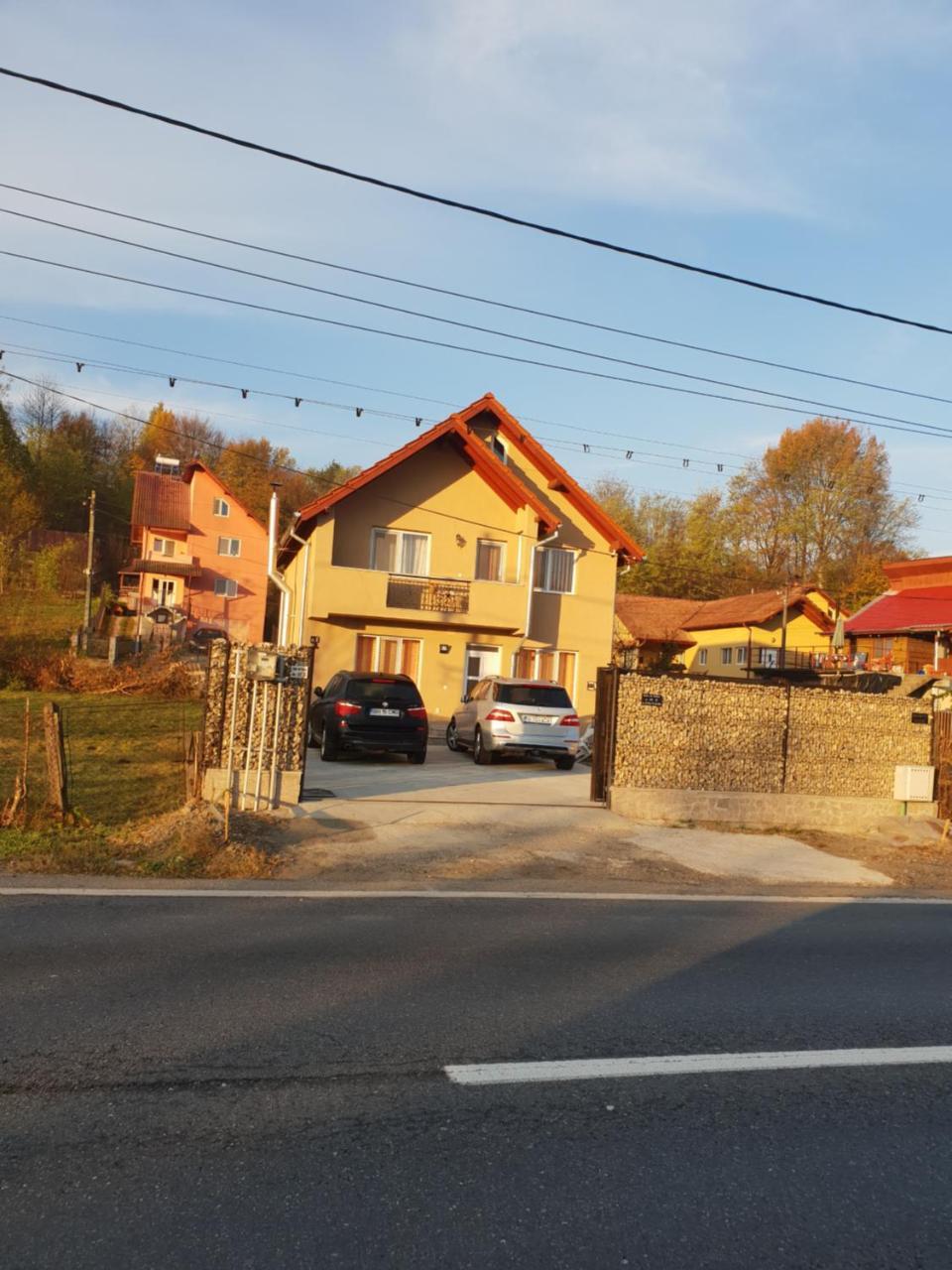 Steluta Villa Călimăneşti Екстериор снимка