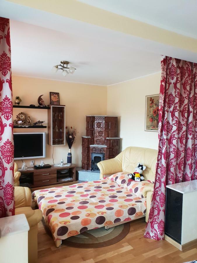 Steluta Villa Călimăneşti Екстериор снимка